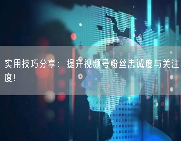 实用技巧分享:提升视频号粉丝忠诚度与关注