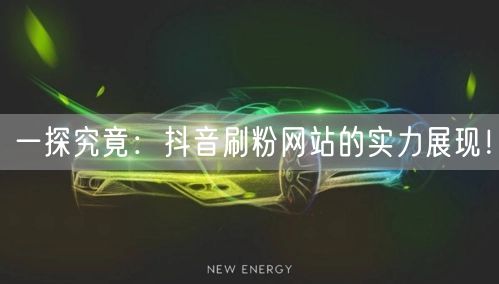 一探究竟：抖音刷粉网站的实力展现！
