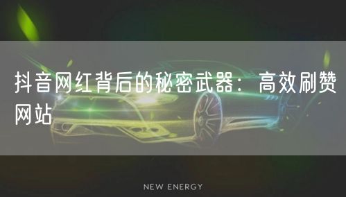 抖音网红背后的秘密武器：高效刷赞网站