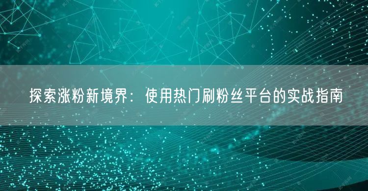 探索涨粉新境界：使用热门刷粉丝平台的实战