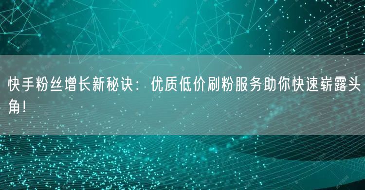 快手粉丝增长新秘诀：优质低价刷粉服务助你快速崭露头角！