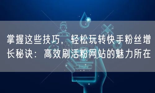 掌握这些技巧，轻松玩转快手粉丝增长秘诀：高效刷活粉网站的魅力所在