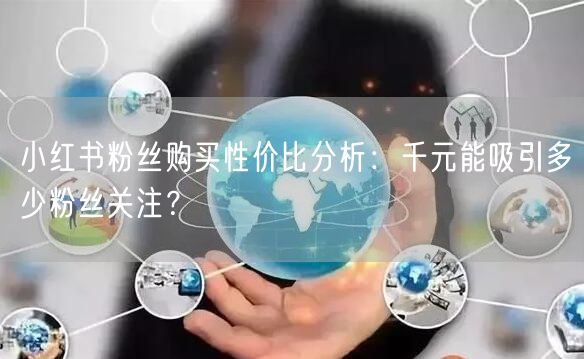 小红书粉丝购买性价比分析：千元能吸引多少粉丝关注？