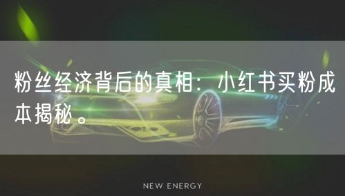 粉丝经济背后的真相：小红书买粉成本揭秘。