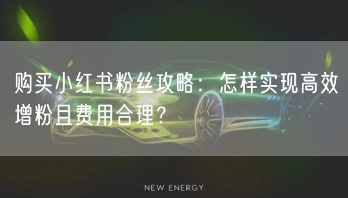 购买小红书粉丝攻略：怎样实现高效增粉且费用合理？