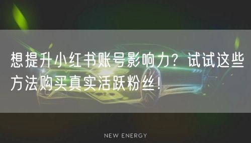 想提升小红书账号影响力？试试这些方法购买真实活跃粉丝！