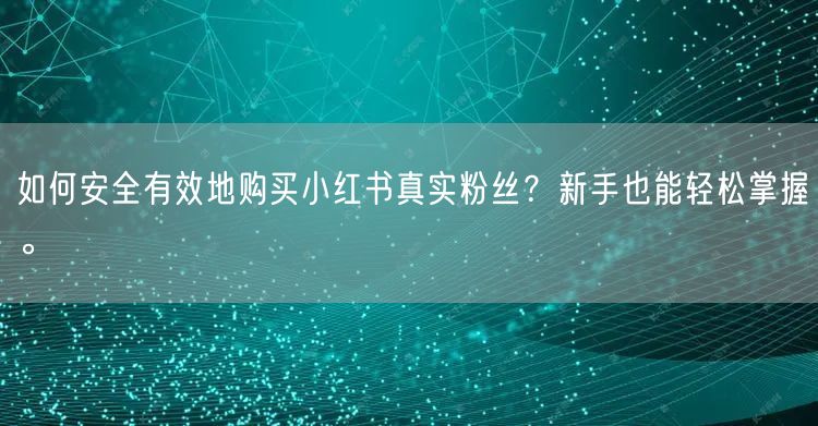 如何安全有效地购买小红书真实粉丝？新手也能轻松掌握。