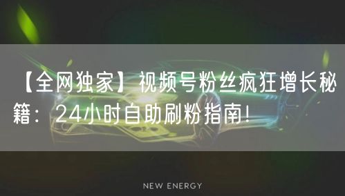 【全网独家】视频号粉丝疯狂增长秘籍：24小时自助刷粉指南！
