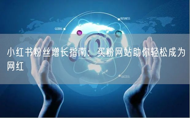 小红书粉丝增长指南：买粉网站助你轻松成为网红