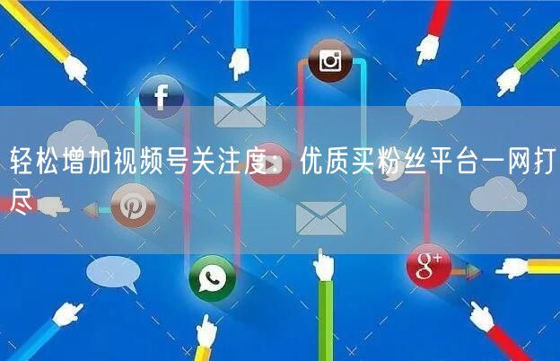 轻松增加视频号关注度：优质买粉丝平台一网打尽