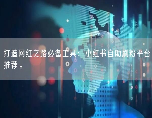 打造网红之路必备工具：小红书自助刷粉平台推荐。