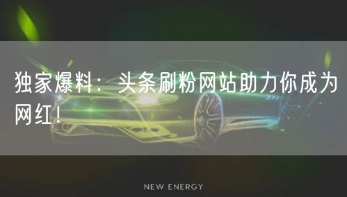 独家爆料：头条刷粉网站助力你成为网红！