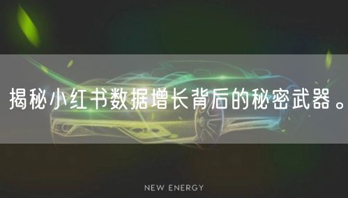 揭秘小红书数据增长背后的秘密武器。