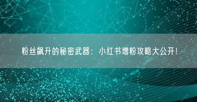 粉丝飙升的秘密武器：小红书增粉攻略大公开！
