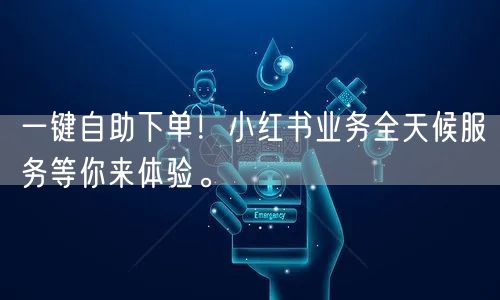 一键自助下单！小红书业务全天候服务等你来体验。