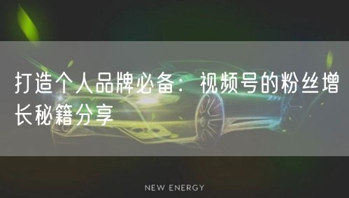 打造个人品牌必备：视频号的粉丝增长秘籍分享