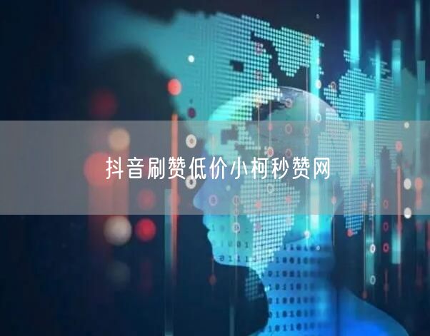 抖音刷赞低价小柯秒赞网