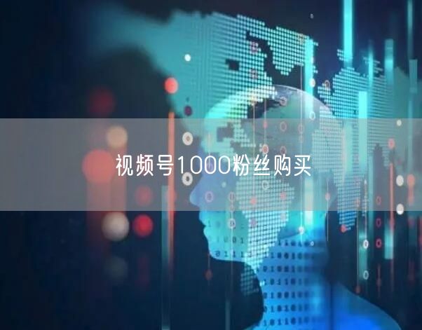 视频号1000粉丝购买