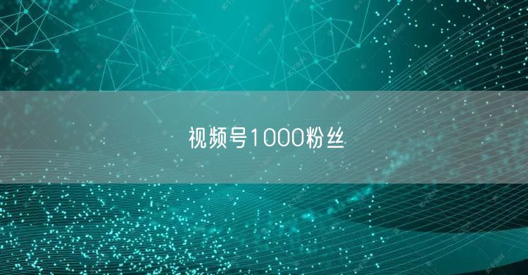 视频号1000粉丝