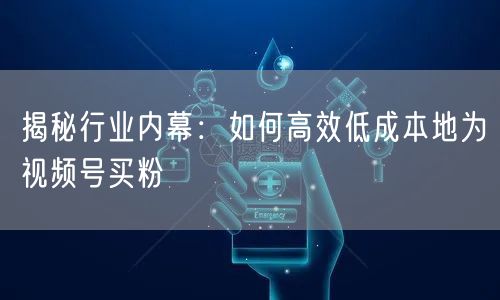 揭秘行业内幕：如何高效低成本地为视频号买粉