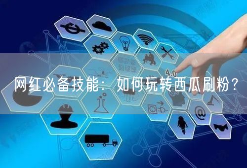 网红必备技能：如何玩转西瓜刷粉？