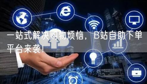 一站式解决购物烦恼，B站自助下单平台来袭！