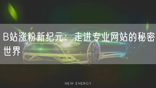 B站涨粉新纪元：走进专业网站的秘密世界