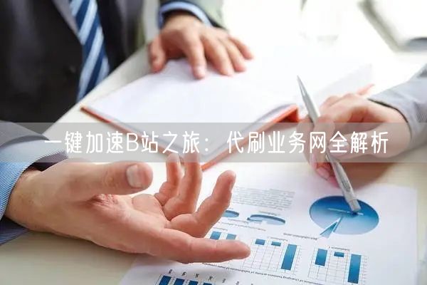 一键加速B站之旅：代刷业务网全解析