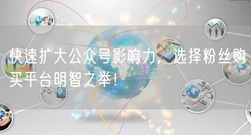快速扩大公众号影响力，选择粉丝购买平台明智之举！